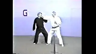 Al Tracy Demonstrates Green Belt Thundering Hammers