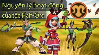 Giải th&iacute;ch đơn giản dễ hiểu về tộc Half-Orc . Auto chess