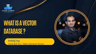 What is a Vector Database ?