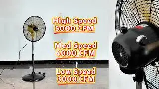 20 inch High Velocity Pedestal Oscillating Fan