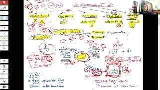 organic 2 (Aryl Halide) part 1 ERU