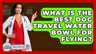 What Is The Best Dog Travel Water Bowl For Flying? - Ask A Pet Vet