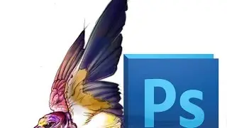 Painting a Swallow Demo