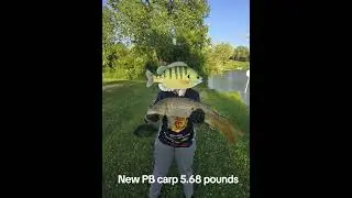 My new PB carp #carp #fishing #horicon