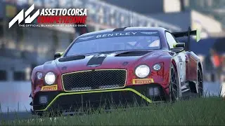 Онлайн гонка с профессиональными пилотами SMP Racing в Assetto Corsa Competizione.