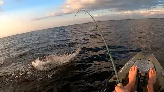 Bull dumb migration in the Neuse river basin, NC!!!!!