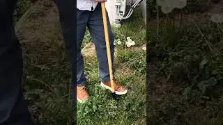 Game-Changing Garden Hack with Grampa&rsquo;s Weeder! 🌱✨ | Easy Weeding, No Bending!