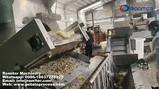 Automatic Potato Steam Peeling Machine for Sale