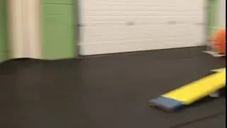 Timid Puppy