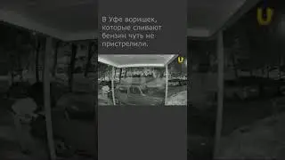 #Shorts Уфимец выстрелил в ворующих бензин