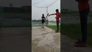 Best Reverse sweep drill #shorts batting practice 💯🏏