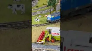 ESU 31009 218 055-2 von  Press auf einer der Einfahrrunden auf meiner Anlage.