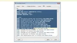 Crear schemas con Oracle SQL Developer
