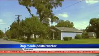 Dog attacks postal worker