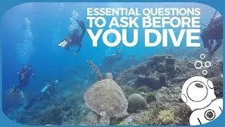 Essential Questions To Ask Before You Dive