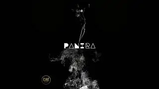 Panira