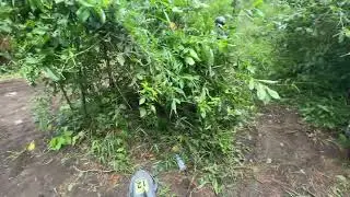 Jalur menuju tanjakan pasir merapi #automobile #ts125x #motoroffroad #motortrail #trail #motocross 