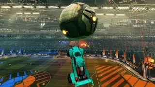 WhiteZebra Highlights 3