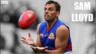 Sam Lloyd 2019 Highlight Reel