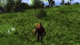 Lotrogamer: Burningstone