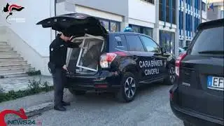 FOGGIA | Processo contro presunta rete di spaccio: pene rideterminate per 5 foggiani
