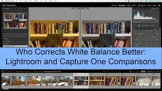Who Corrects White Balance Better: Lightroom and Capture One Comparisons