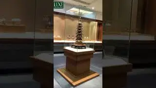The 