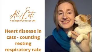 Heart disease in cats - counting resting respiratory rate