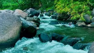 Tranquil Water Sounds - Gentle River Flow for Restful Sleep, Healing & Mindfulness