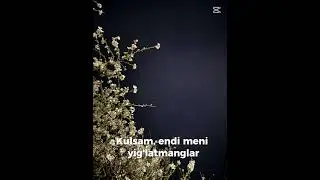 Beautiful spring at night | Uzbek song with lyrics | short