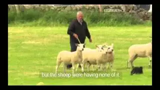 Andy Carnegie & Jess - Day 1 - 2015 Scottish National Sheep Dog Trial
