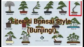 Literati/ Bunjingi  Bonsai Style