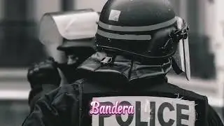  EL ÁGUILA BRILLANDO.