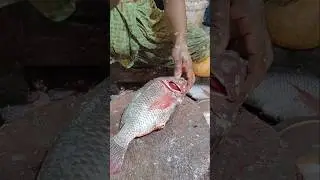 Amazing Big Tilapia Fish Cutting By Expert Fish Cutter || #shorts