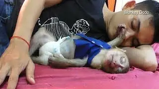 Grooming And Nursing Care Of Baby Dodo By Dad