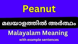 Peanut meaning in Malayalam/Peanut മലയാളത്തിൽ അർത്ഥം