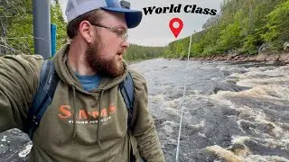 Camping, Hiking, & Fly Fishing on a World Class River for Salmon Deep In Newfoundland !
