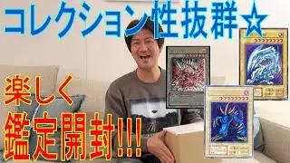 【遊戯王】お気に入りのコレクションをホルダーイン！！！ARSのコレクション性は最高です☆