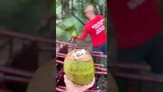 Refreshing coconut water at Hippocrates🌴💧Earths Ultimate hydration!​⁠ #food@HippocratesWellness