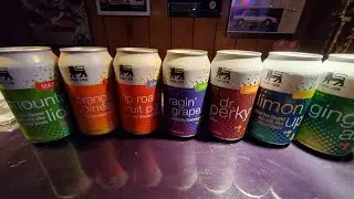 Food Lion Soda/Pop Taste Testing!