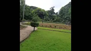 pondicherry #Botanical garden #😍🌲🪴