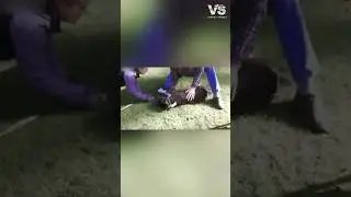 Stranger Saves Dog's Life&hearts;️| #shorts #youtubeshorts