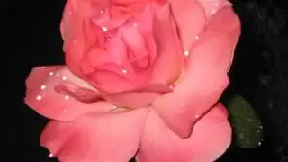CAMILLO DEL VHO - Cuore di pietra 25 anni di APPLAUSI !!!