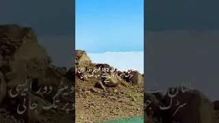 yakbai tour