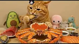 Orange Cat Eating ASMR #catasmr  #mukbang  #cateating  #asmr #shorts #satisfying