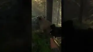 Bong bong bison 1