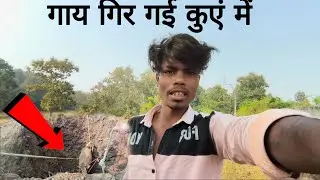 . Gaay Kue Mein Gir Gai! Hamne Kiya Rescue | Emotional Village Vlog