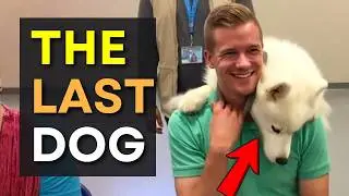 When Dogs Choose No One… 😭 Until This Moment Melts Your Heart ❤️🐶