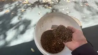 Cleaning Zircons from Gemtree, Bitter Springs Campground, Mataranka, Top End, Northern Territory