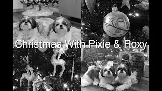 Christmas With Pixie & Roxy